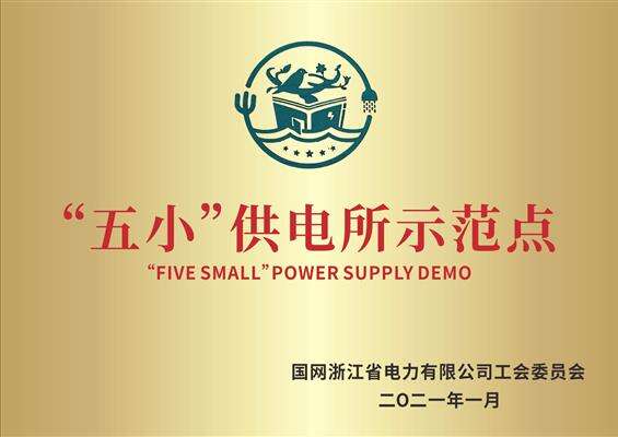 省电力公司五小供电所