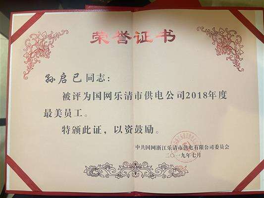 国网乐清市供电公司2018年度最美员工
