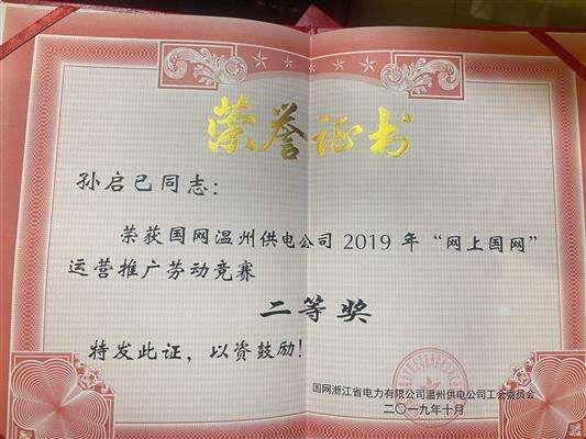 网上国网运营推广二等奖